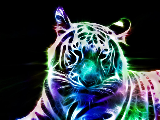 1670161 (a): :1920x1440